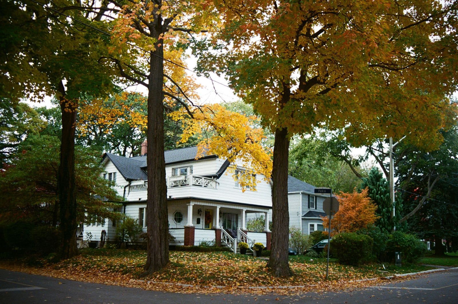 White two-storey house under maple trees with fall leaves on the lawn
