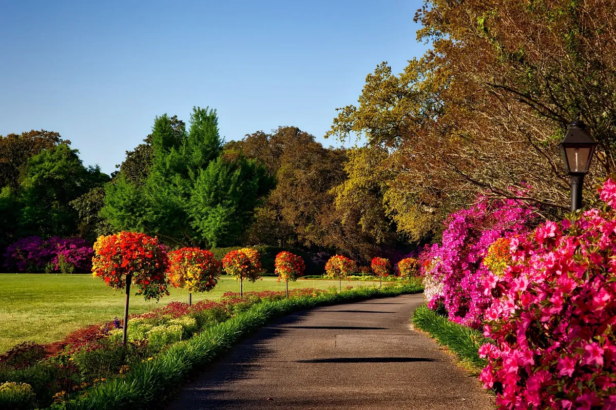 27th Annual CFUW Town & Country Garden Tour: Rain or Shine, The Tradition Continues